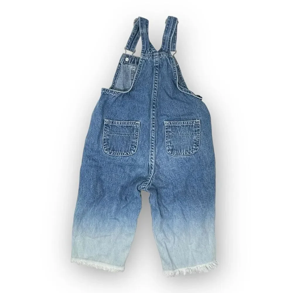 Vintage Y2K The Children’s Place Denim Overalls Ombré Butterfly Baby Size 18M